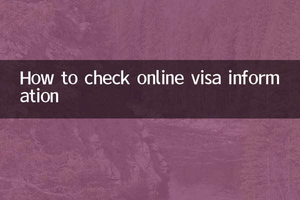 Cómo verificar la información de visa en línea