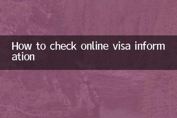 Cómo verificar la información de visa en línea