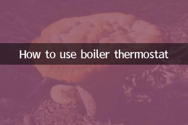 How to use boiler thermostat