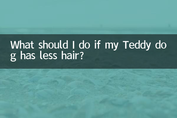 What should I do if my Teddy dog has less hair?