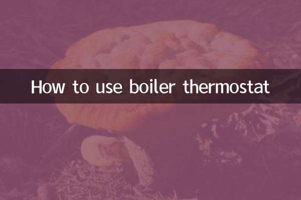 How to use boiler thermostat