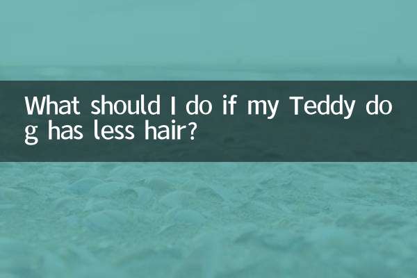 What should I do if my Teddy dog has less hair?