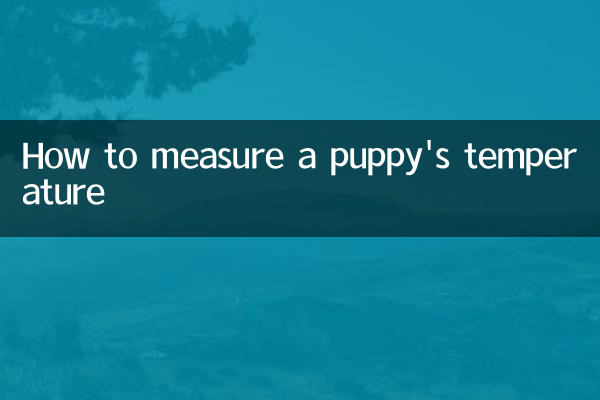 How to measure a puppy's temperature