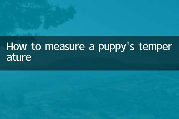 How to measure a puppy's temperature