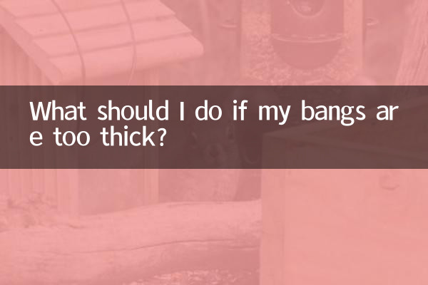Cosa devo fare se la mia frangia è troppo spessa?