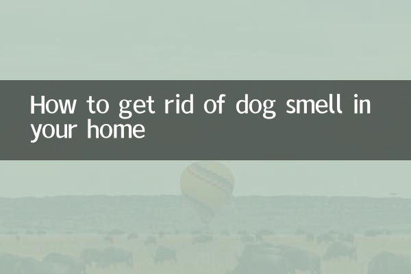 Cómo eliminar el olor a perro en tu casa
