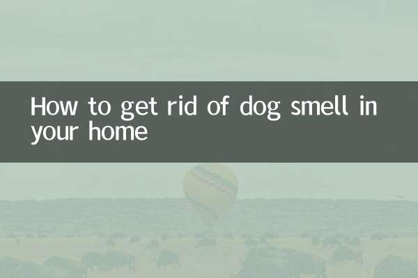 Cómo eliminar el olor a perro en tu casa