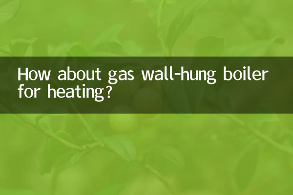 Che ne dici di una caldaia murale a gas per il riscaldamento?