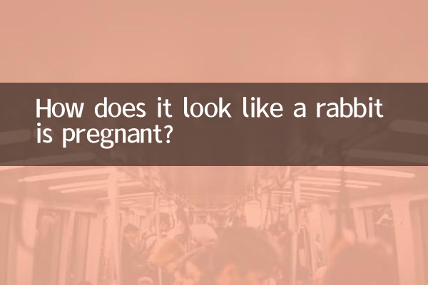 兔子怎麼看懷孕了