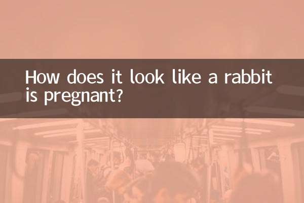 兔子怎麼看懷孕了