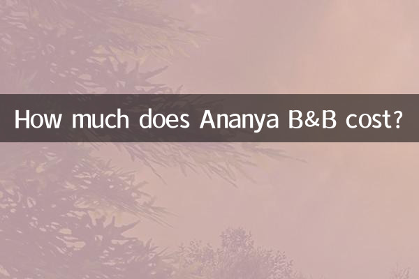 Wie viel kostet das Ananya B&B?