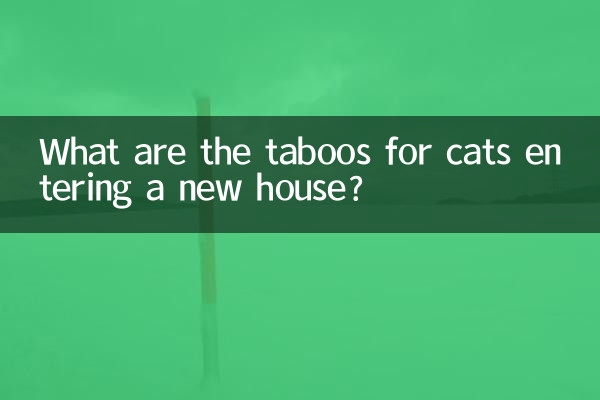 猫进新房有什么忌讳