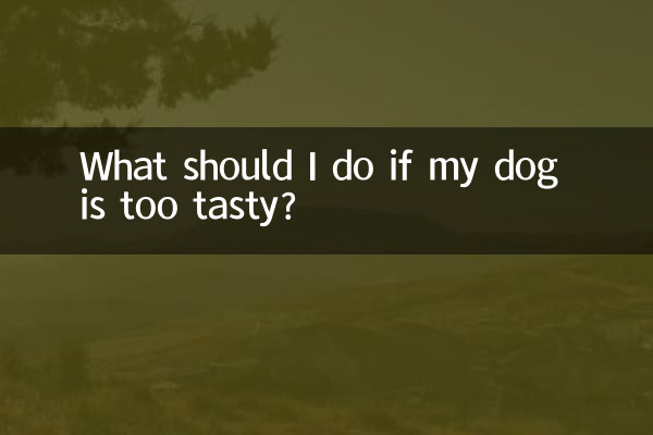 愛犬が美味しすぎる場合はどうすればよいですか?