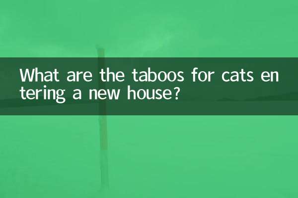 猫进新房有什么忌讳