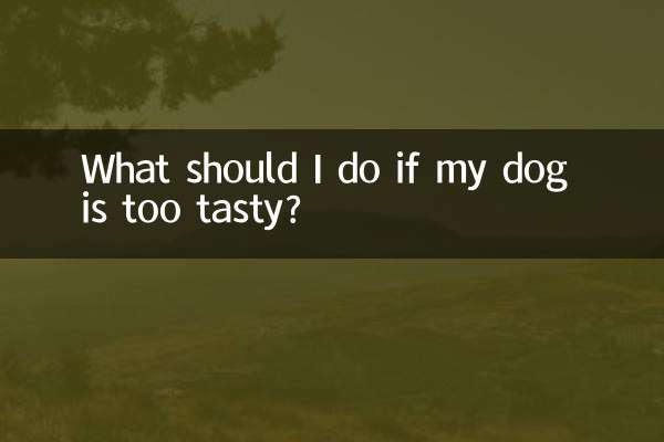 愛犬が美味しすぎる場合はどうすればよいですか?