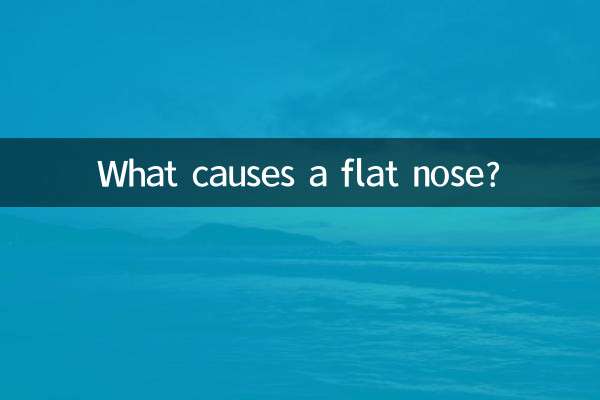 Was verursacht eine flache Nase?