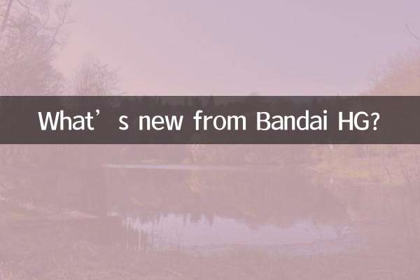 بانڈائی HG سے نیا کیا ہے؟
