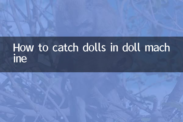 Cómo atrapar muñecas en una máquina de muñecas.