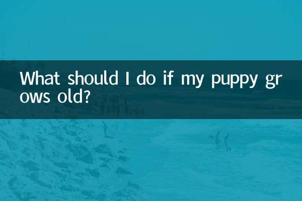 子犬が年老いたらどうすればいいですか？