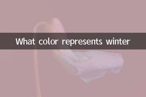 Quelle couleur représente l'hiver