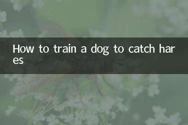 Comment dresser un chien à attraper des lièvres