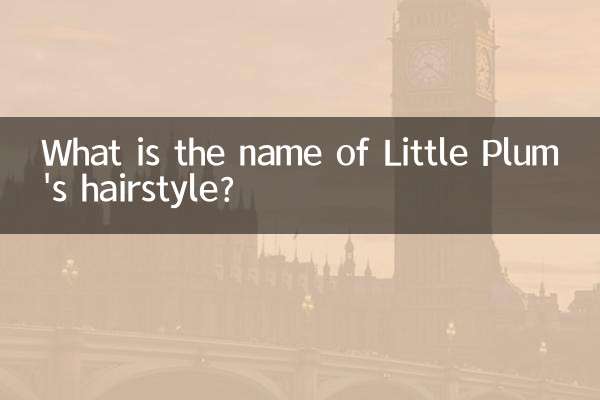 What is the name of Little Plum's hairstyle?