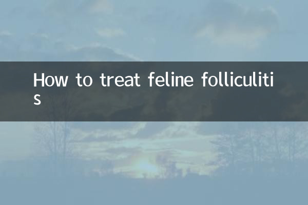 Comment traiter la folliculite féline