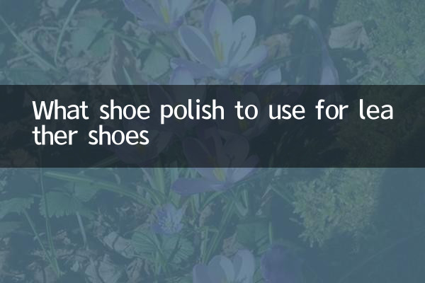 真皮鞋用什么鞋油
