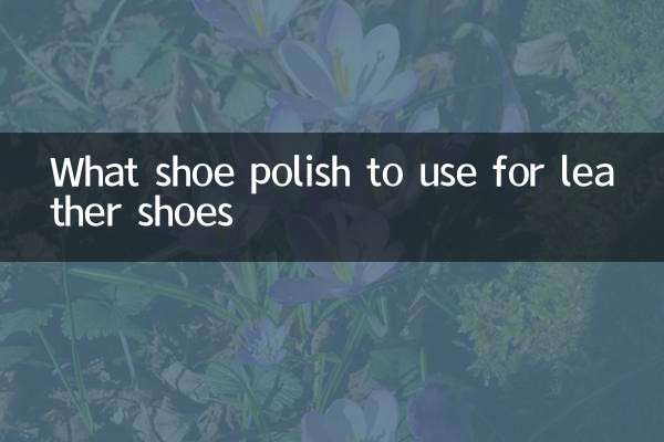 真皮鞋用什么鞋油