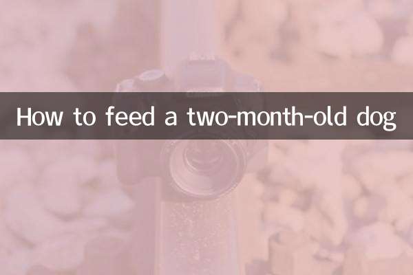 दो महीने के कुत्ते को कैसे खिलाएं?