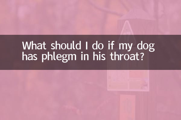 What should I do if my dog has phlegm in his throat?
