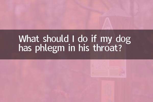 What should I do if my dog has phlegm in his throat?