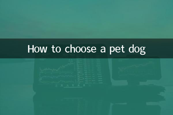 How to choose a pet dog