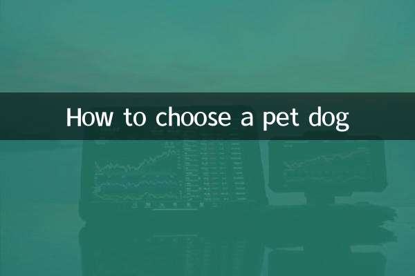 How to choose a pet dog