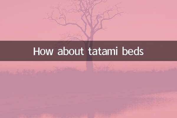 How about a tatami bed?