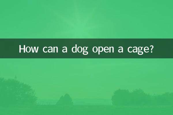 Et si le chien pouvait ouvrir la cage ?