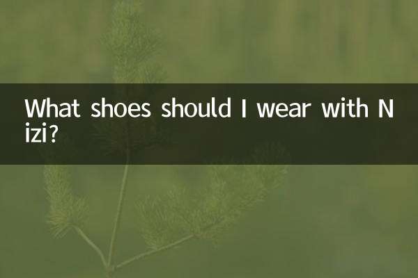 Quelles chaussures dois-je porter avec Nizi ?