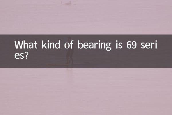 Was für ein Lager ist die 69er-Serie?