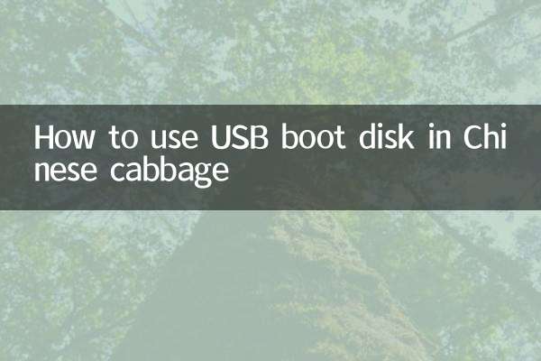 How to use USB boot disk in Chinese cabbage