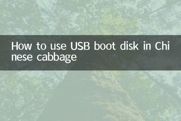 How to use USB boot disk in Chinese cabbage