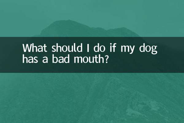 犬の口が悪い場合はどうすればよいですか?