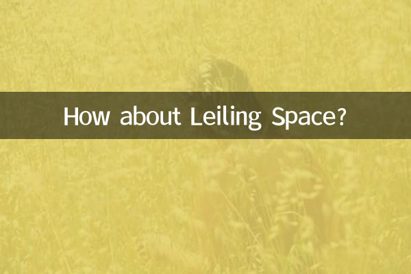 Et l'Espace Leiling ?