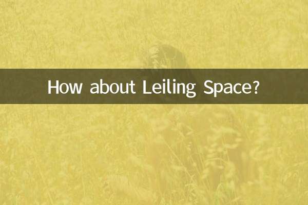 Et l'Espace Leiling ?