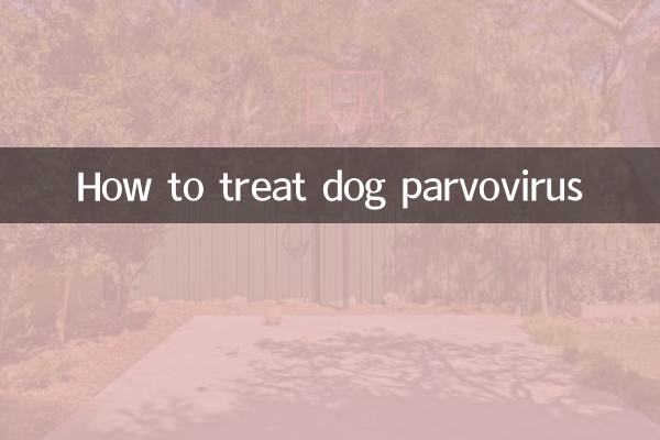 Как лечить парвовирус собак