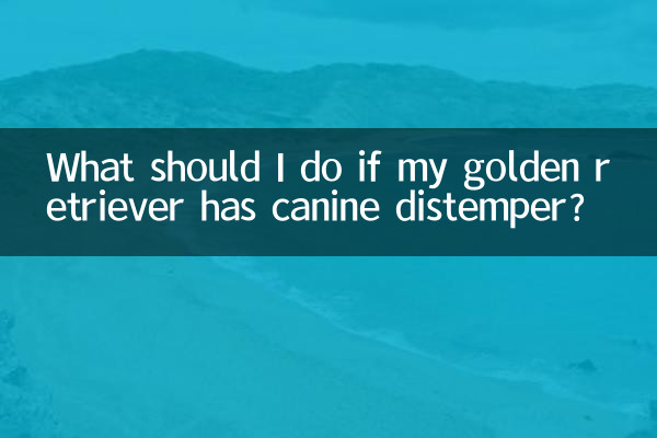 Что делать, если у моего золотистого ретривера собачья чума?
