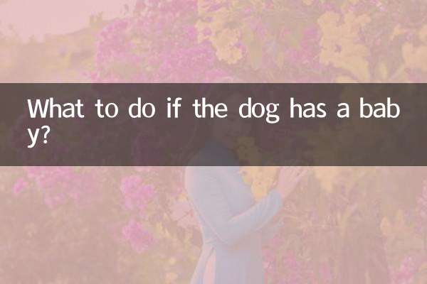 ¿Qué hacer si la perra tiene un bebé?
