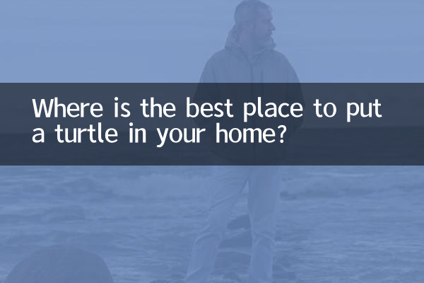 بهترین مکان برای قرار دادن لاک پشت در خانه کجاست؟