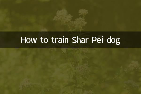 沙皮狗怎麼訓練