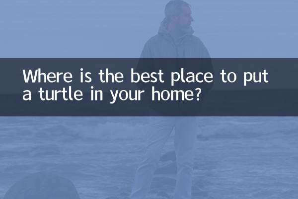 بهترین مکان برای قرار دادن لاک پشت در خانه کجاست؟