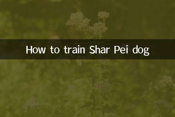 沙皮狗怎麼訓練
